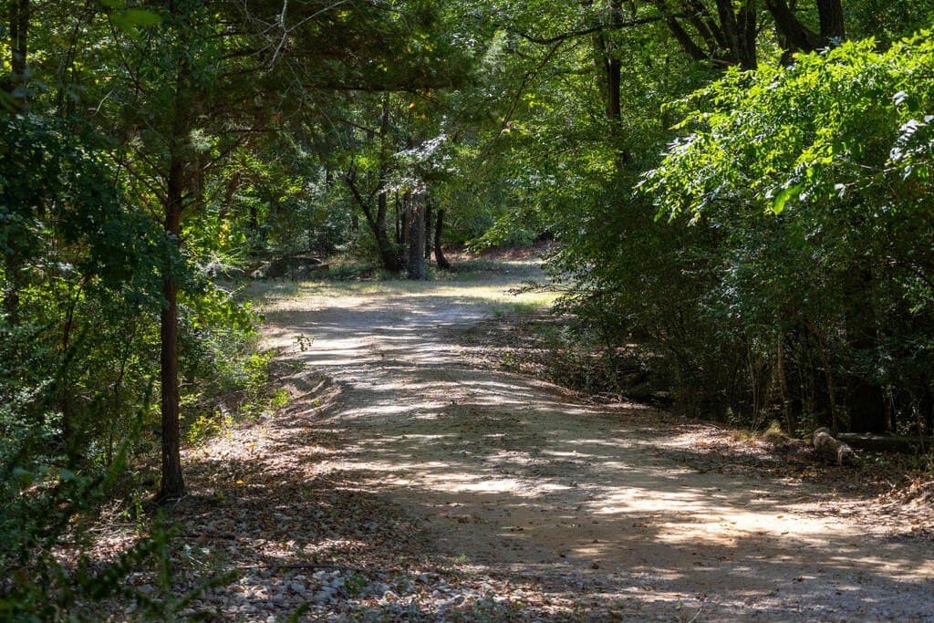175.33 acres in Texas County - photo 81