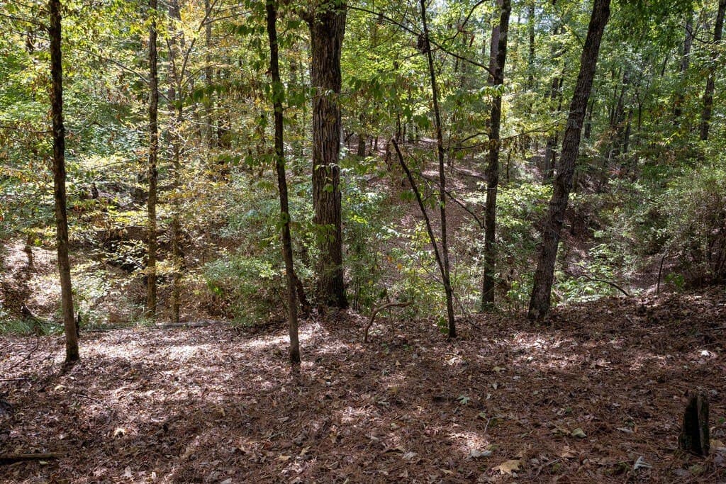 175.33 acres in Texas County - photo 121
