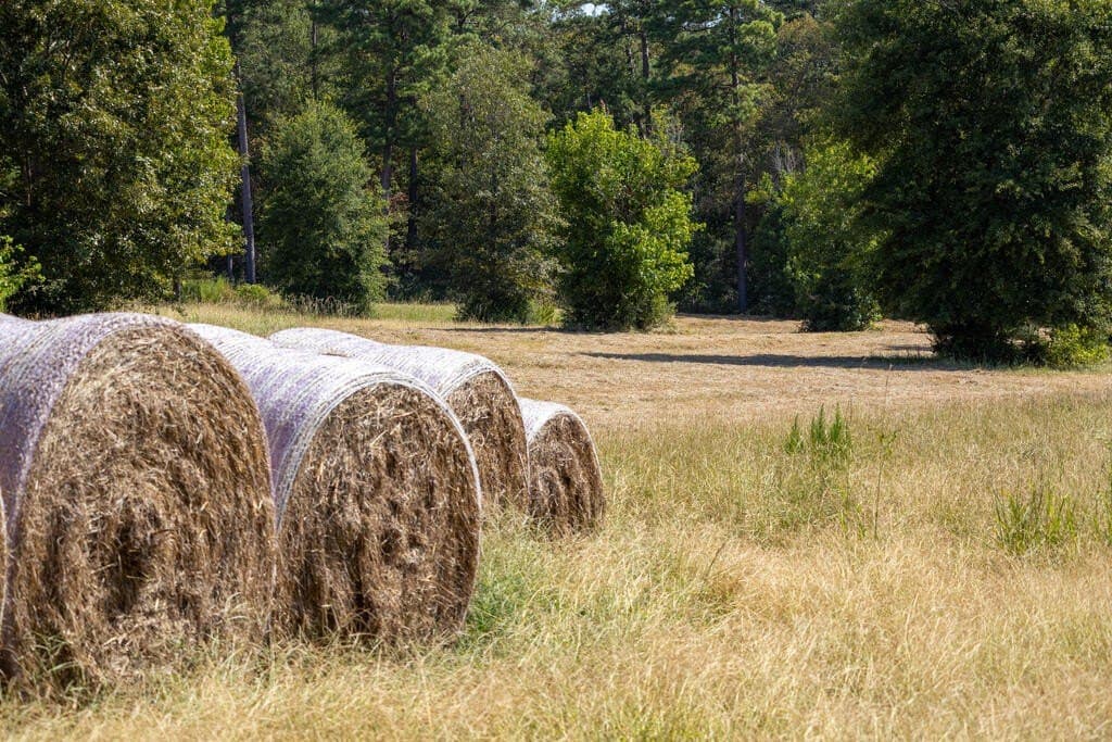 175.33 acres in Texas County - photo 61
