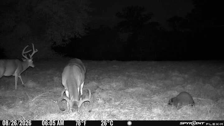 175.33 acres in Texas County - photo 135