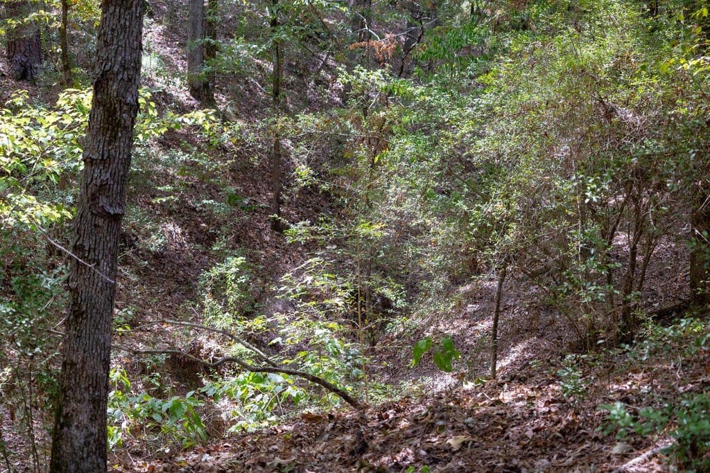 175.33 acres in Texas County - photo 116