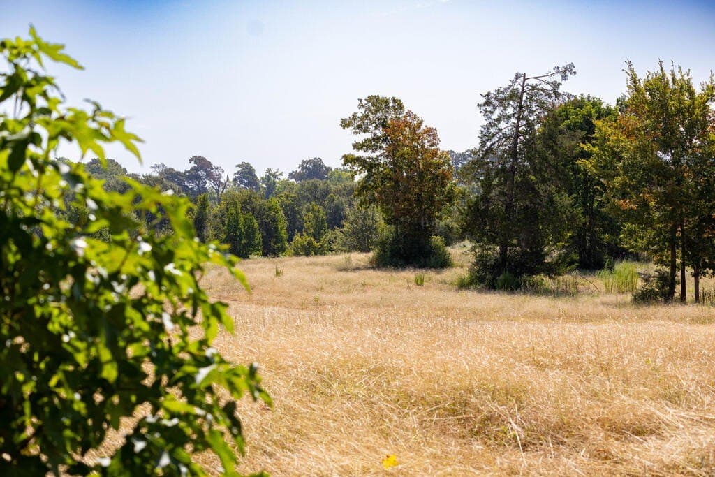 175.33 acres in Texas County - photo 54