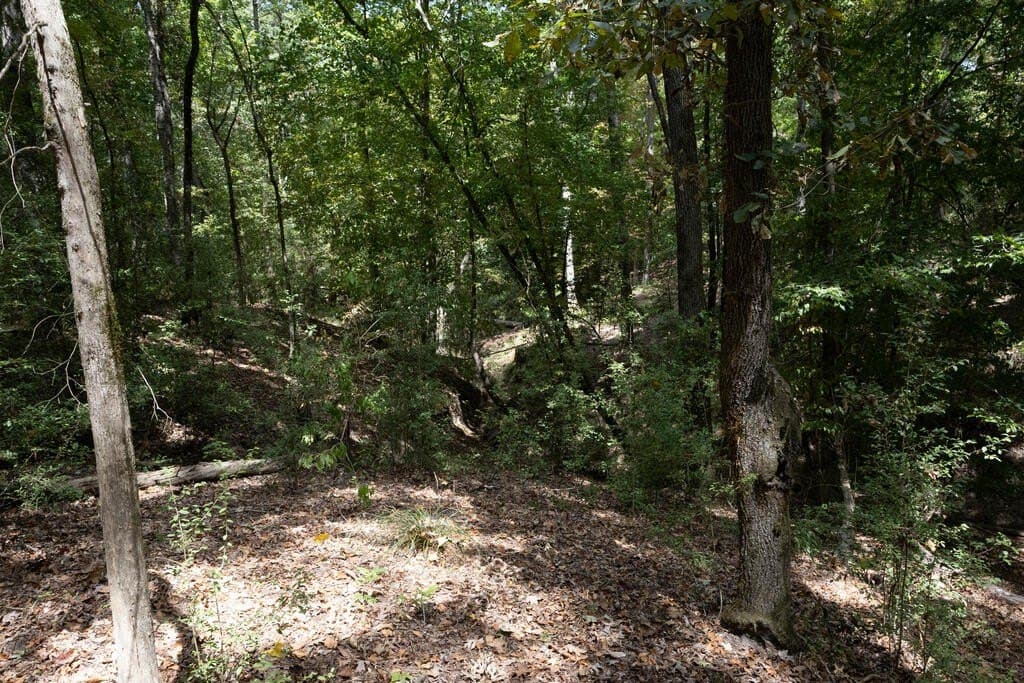 175.33 acres in Texas County - photo 123