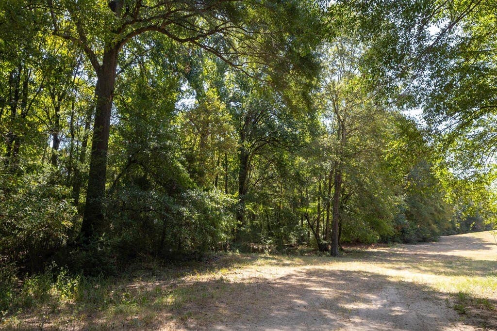 175.33 acres in Texas County - photo 88