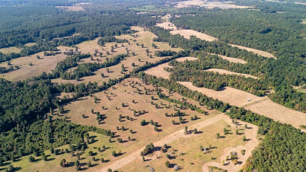 175.33 acres in Texas County - photo 10