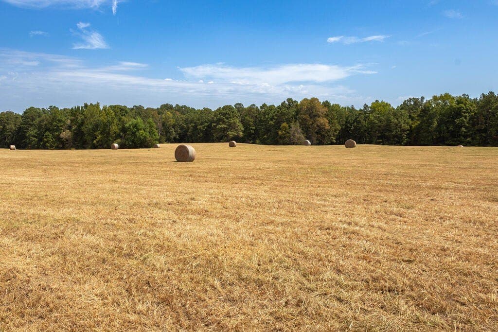 175.33 acres in Texas County - photo 102