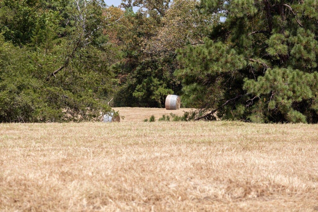 175.33 acres in Texas County - photo 114