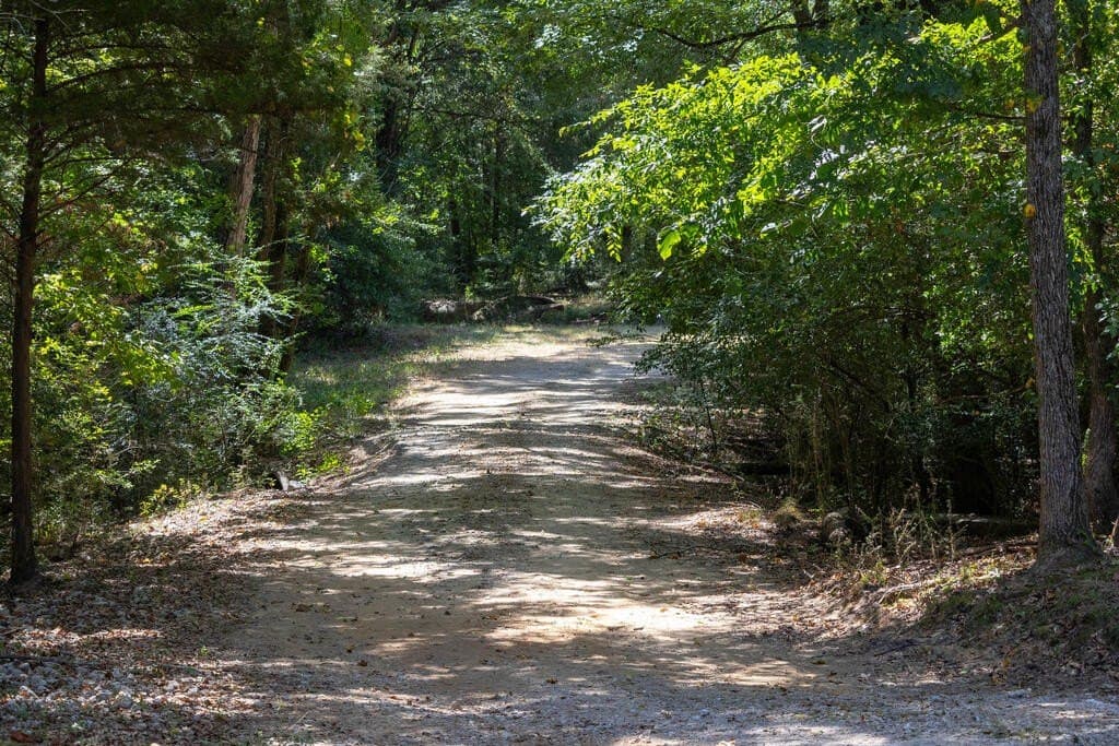 175.33 acres in Texas County - photo 80