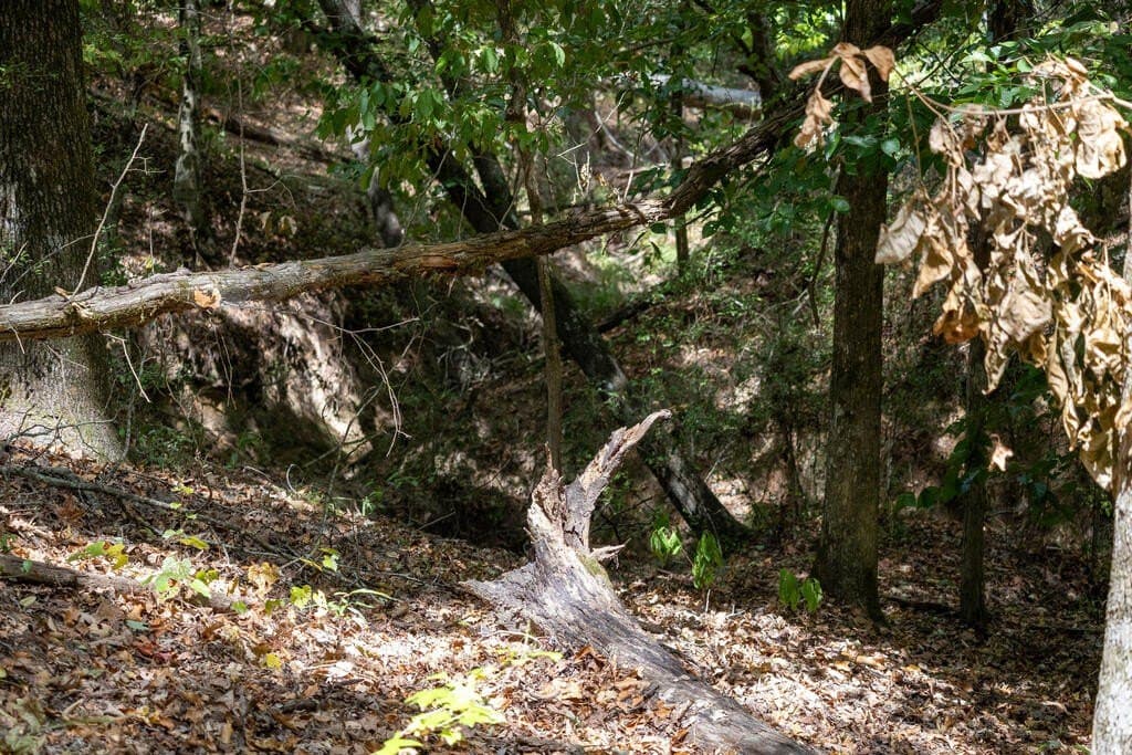 175.33 acres in Texas County - photo 119