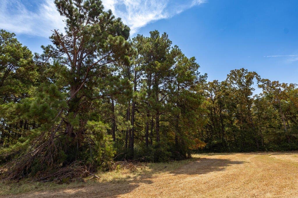 175.33 acres in Texas County - photo 109