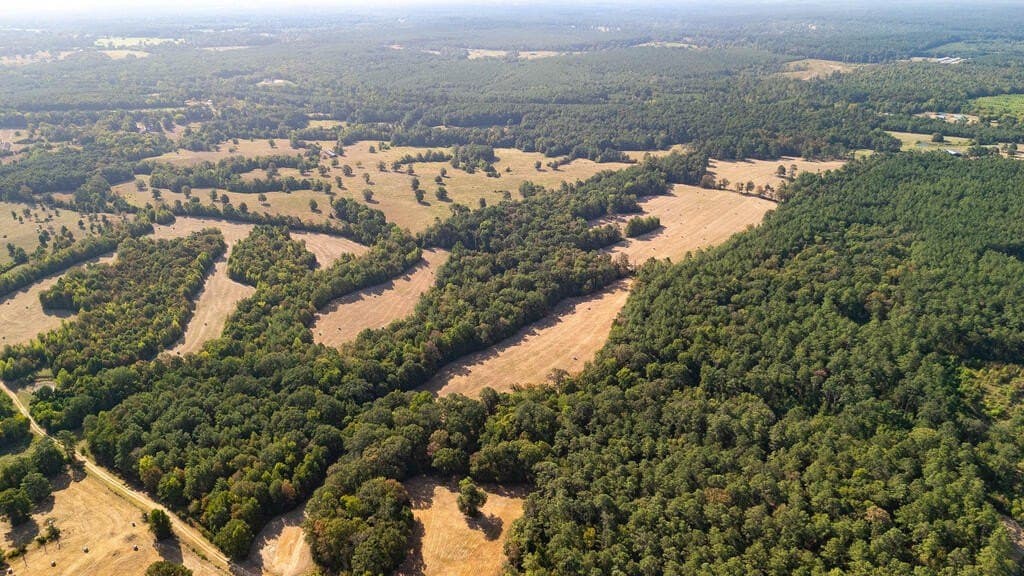 175.33 acres in Texas County - photo 4