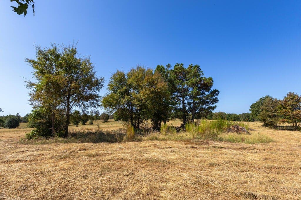 175.33 acres in Texas County - photo 55