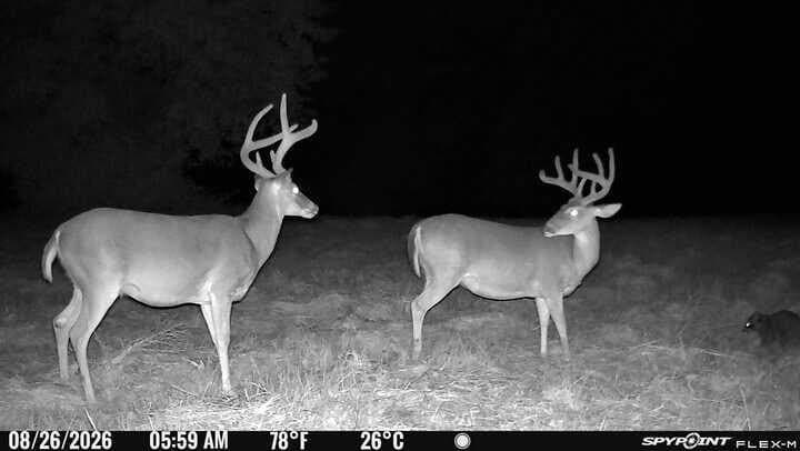 175.33 acres in Texas County - photo 137