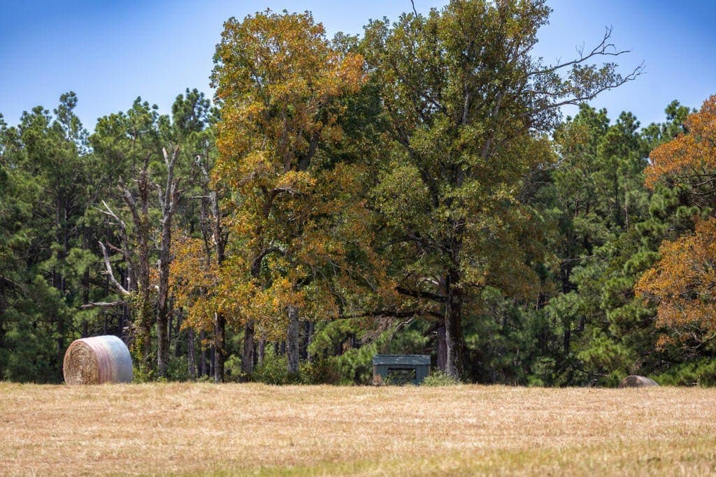 175.33 acres in Texas County - photo 112