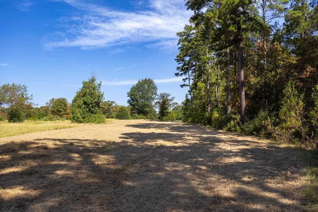 175.33 acres in Texas County - photo 62
