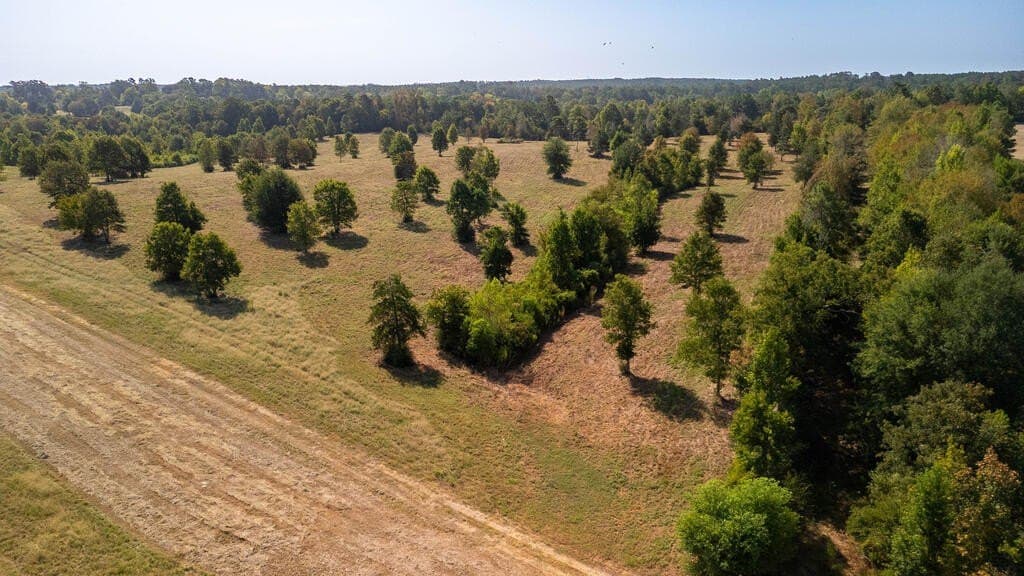 175.33 acres in Texas County - photo 29