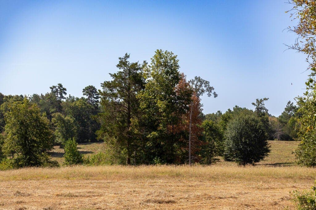 175.33 acres in Texas County - photo 53