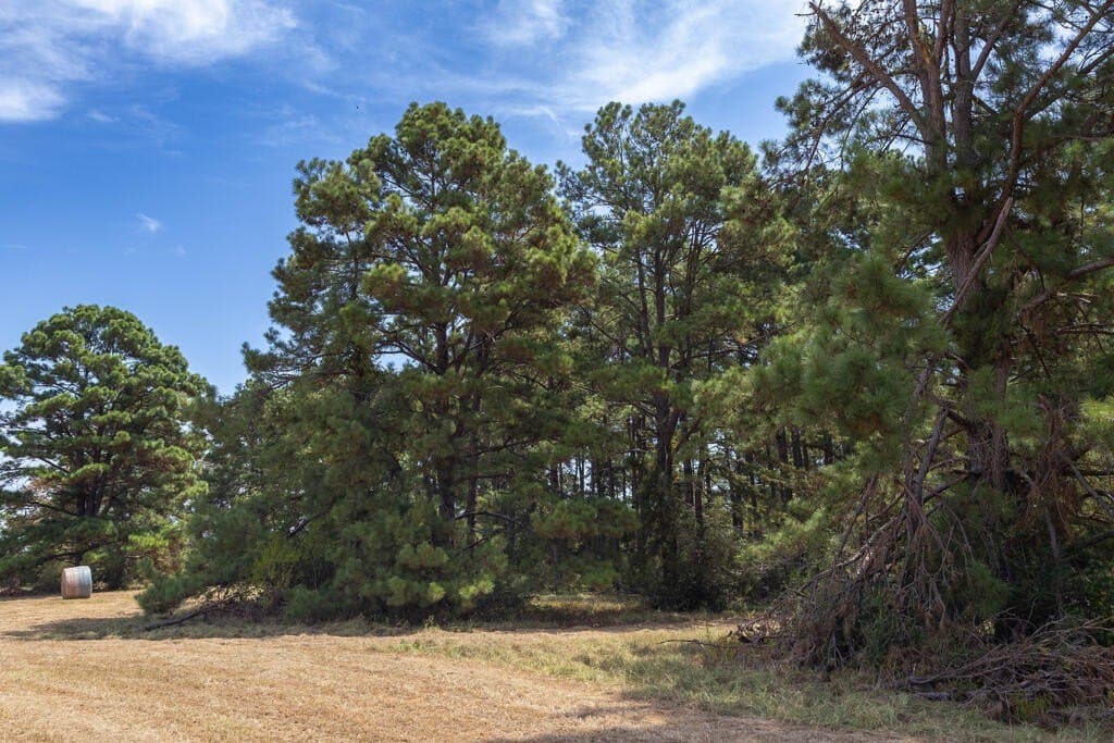 175.33 acres in Texas County - photo 108