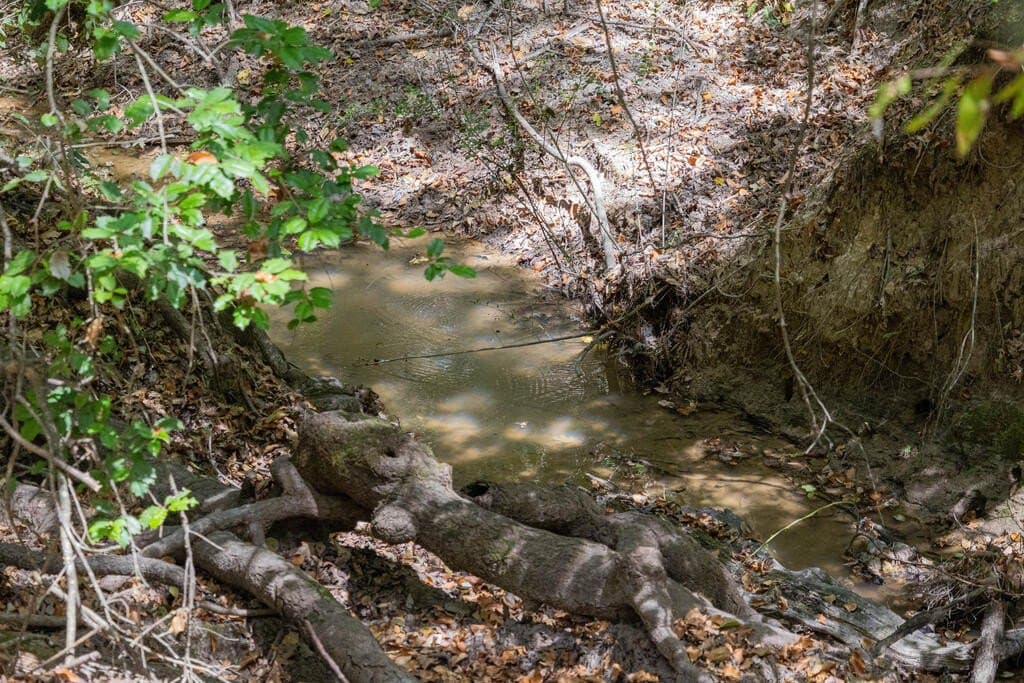 175.33 acres in Texas County - photo 118