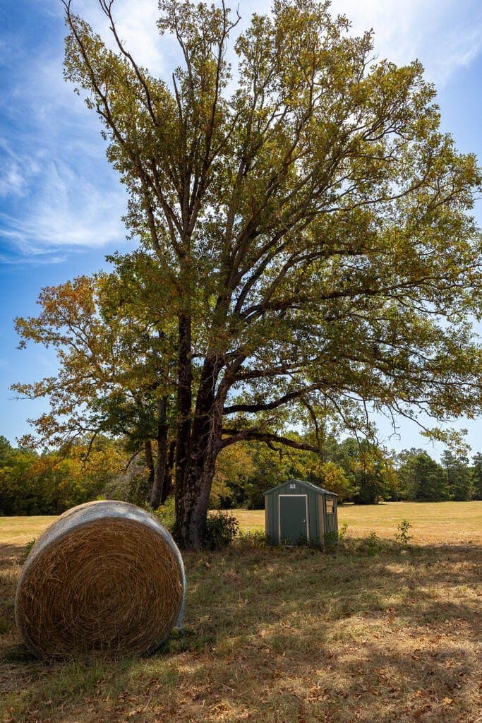 175.33 acres in Texas County - photo 105
