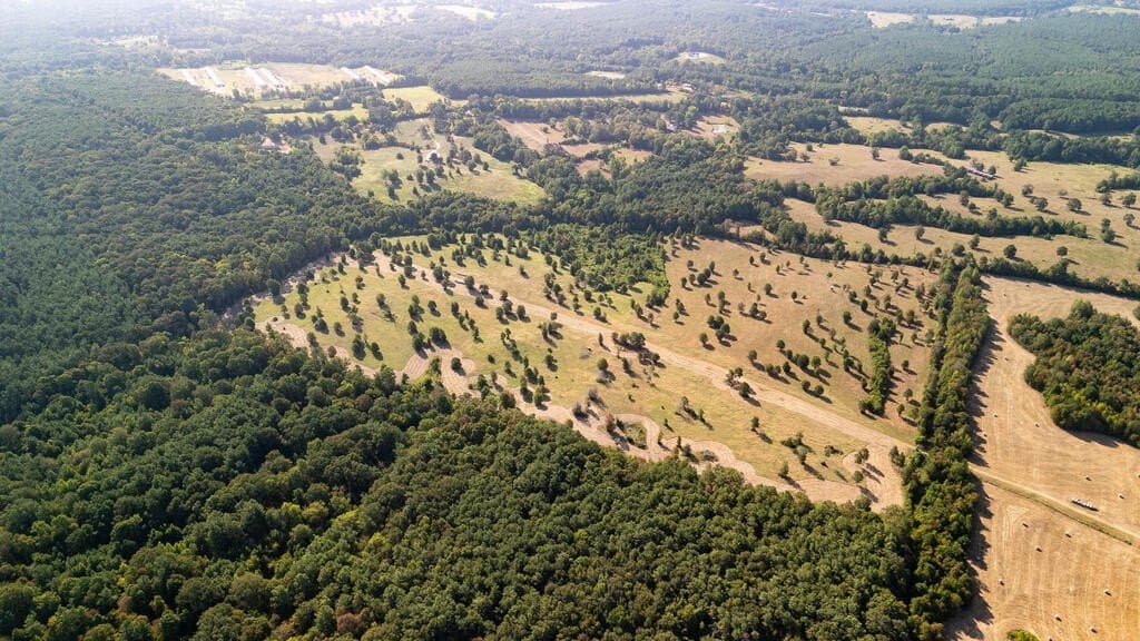 175.33 acres in Texas County - photo 8