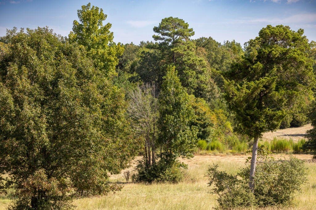 175.33 acres in Texas County - photo 51