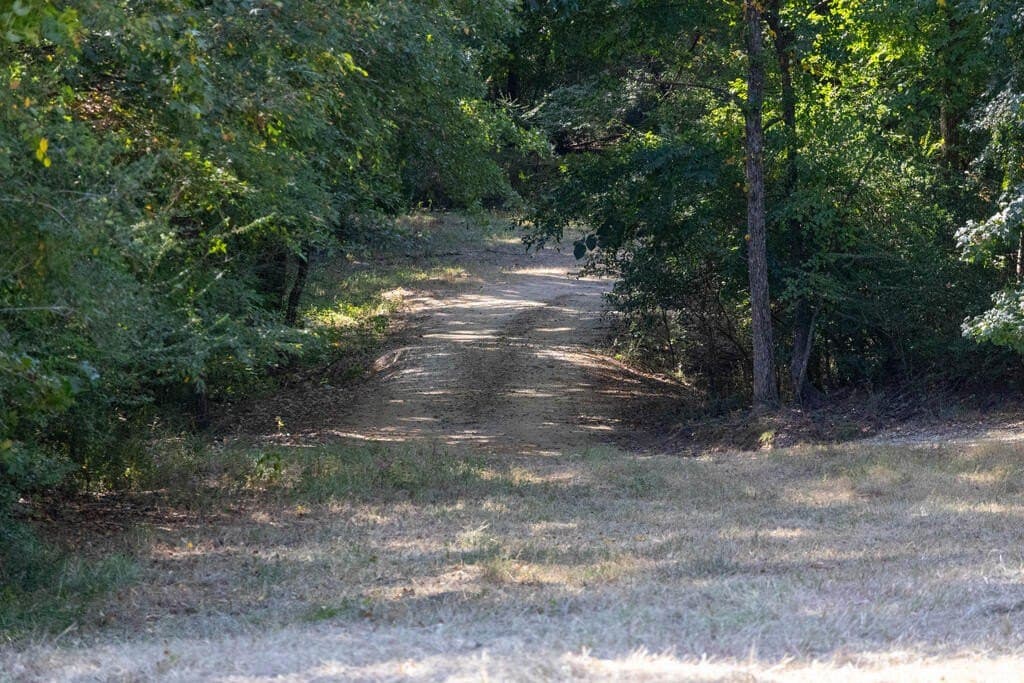 175.33 acres in Texas County - photo 38