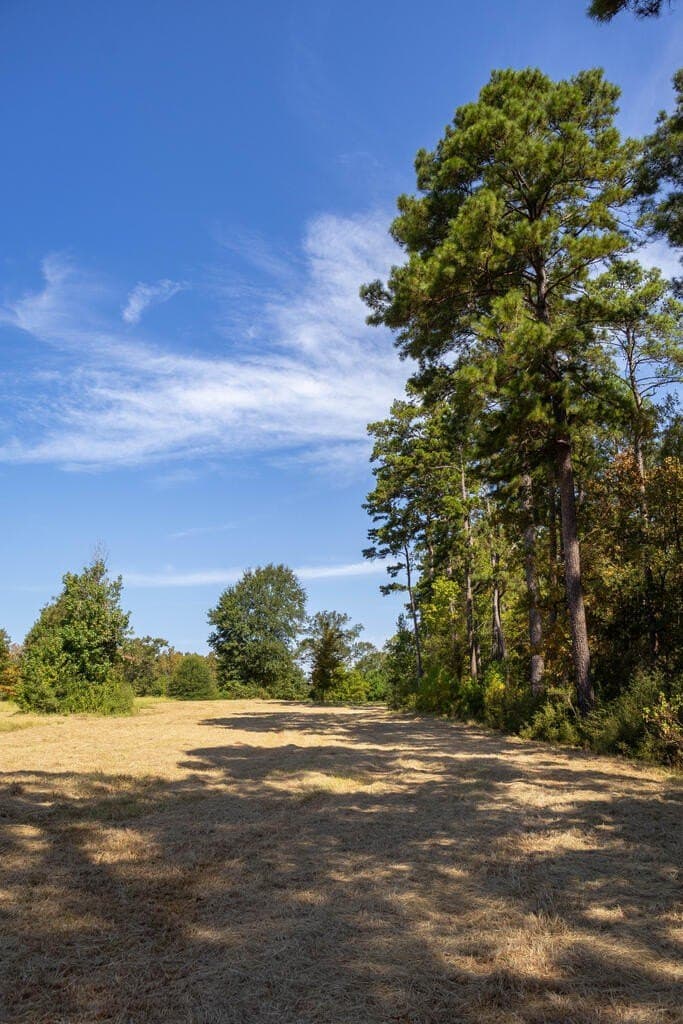 175.33 acres in Texas County - photo 63