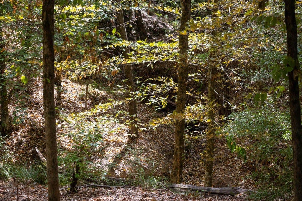 175.33 acres in Texas County - photo 117
