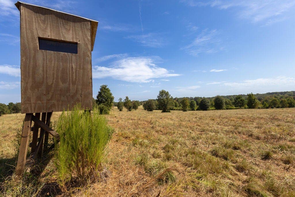 175.33 acres in Texas County - photo 66