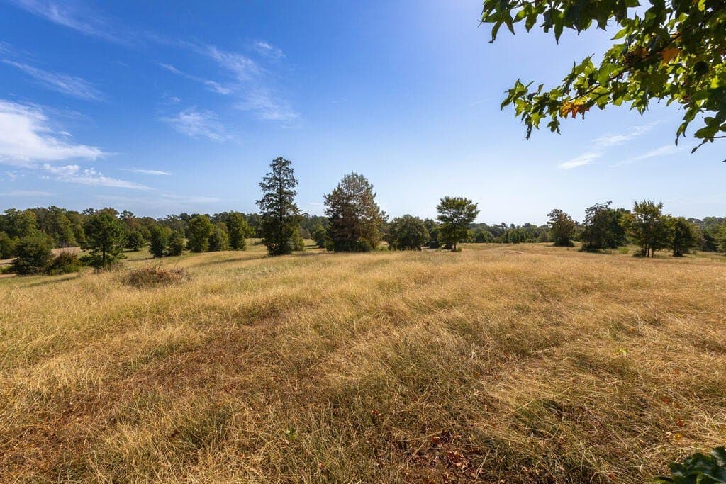 175.33 acres in Texas County - photo 57