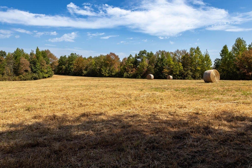 175.33 acres in Texas County - photo 70
