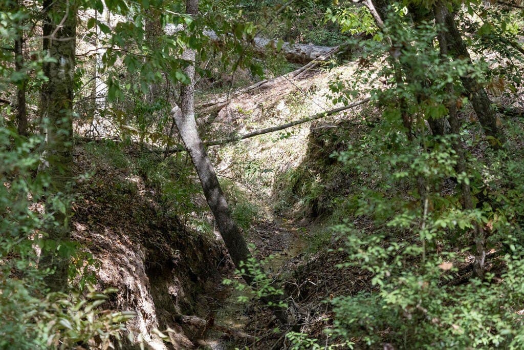 175.33 acres in Texas County - photo 120