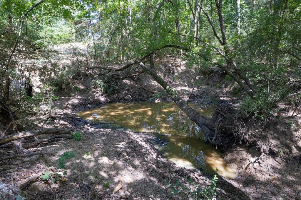 175.33 acres in Texas County - photo 84
