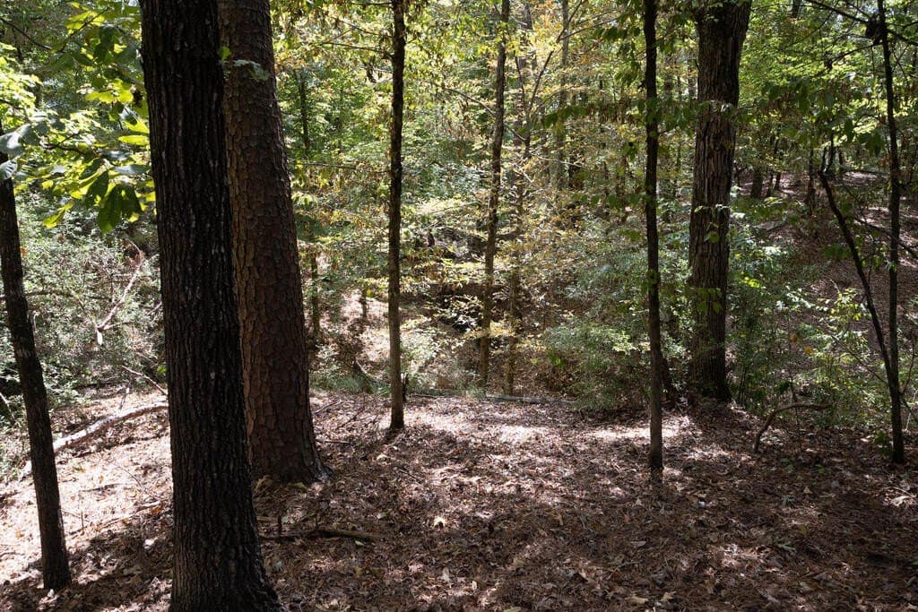 175.33 acres in Texas County - photo 122