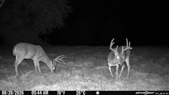 175.33 acres in Texas County - photo 139