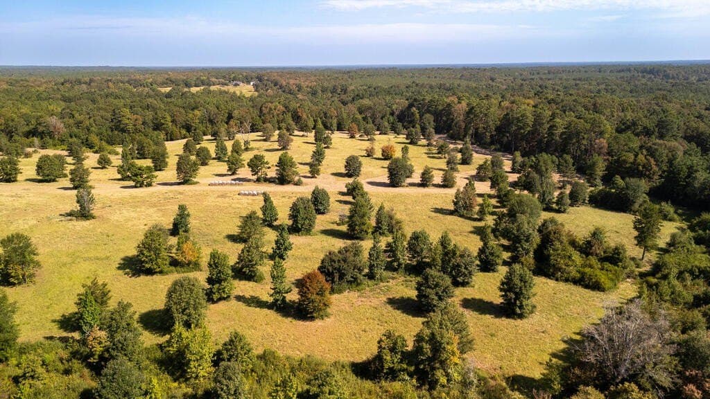 175.33 acres in Texas County - photo 30