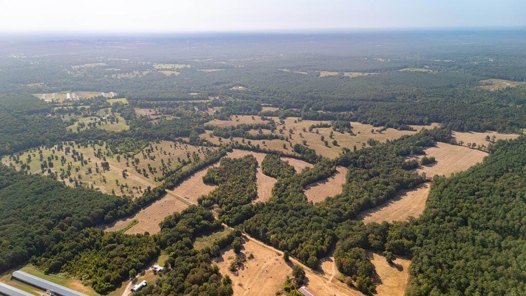 175.33 acres in Texas County - photo 5