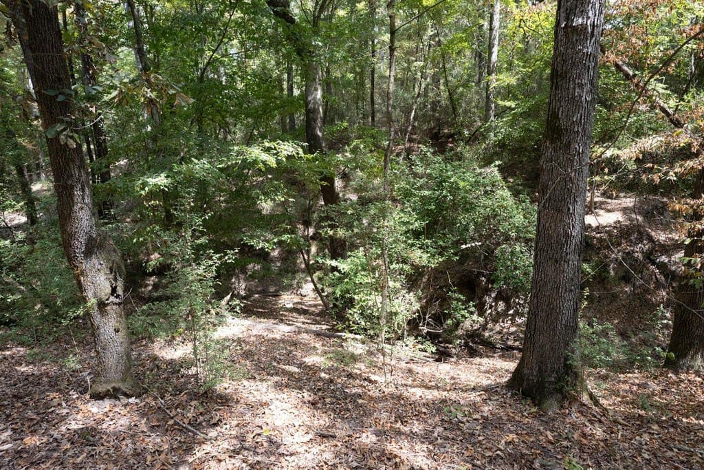 175.33 acres in Texas County - photo 124