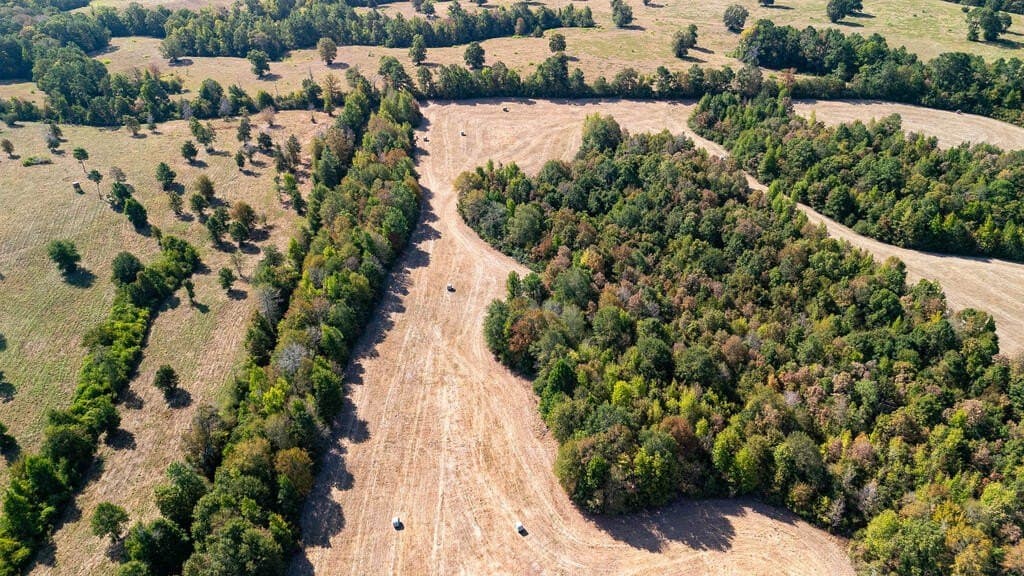 175.33 acres in Texas County - photo 34