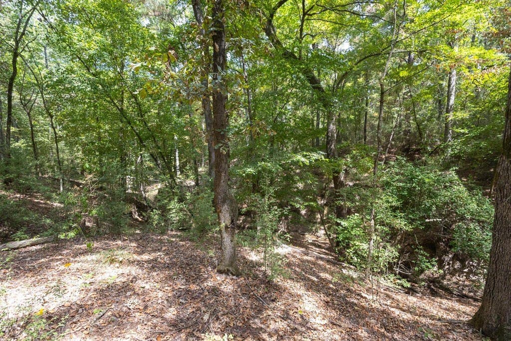 175.33 acres in Texas County - photo 125