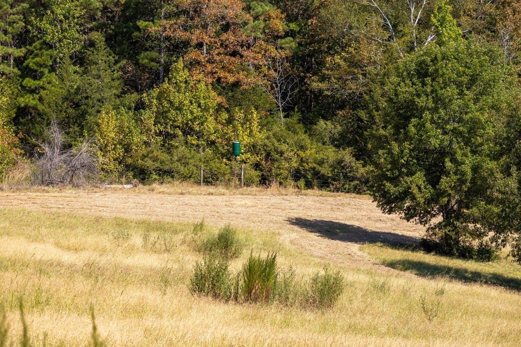 175.33 acres in Texas County - photo 52