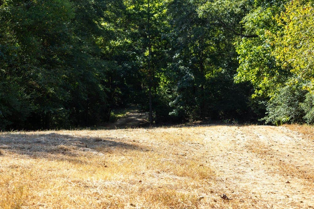 175.33 acres in Texas County - photo 39