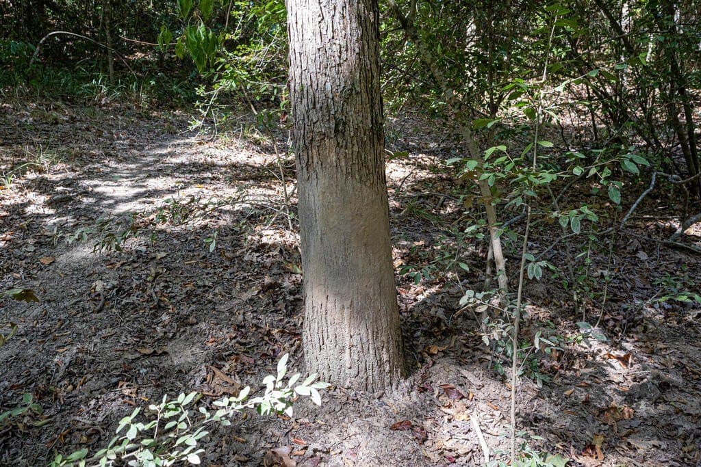 175.33 acres in Texas County - photo 75