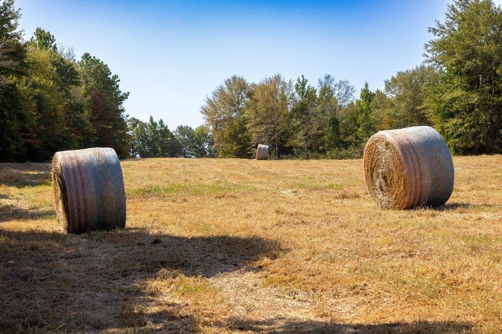 175.33 acres in Texas County - photo 46