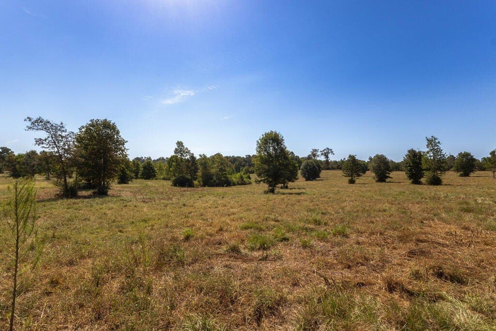 175.33 acres in Texas County - photo 65