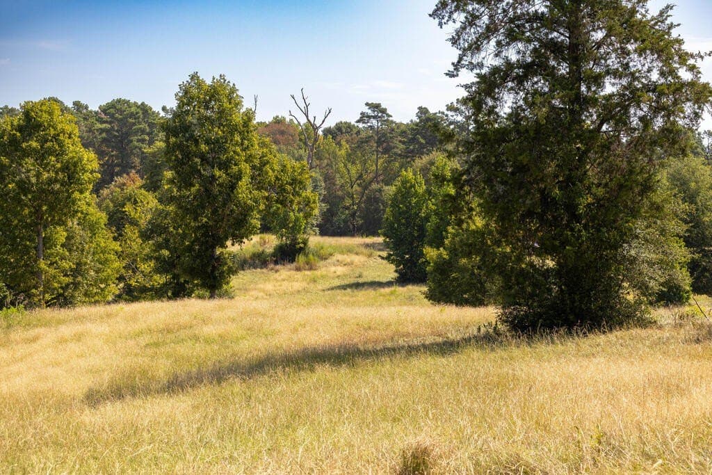 175.33 acres in Texas County - photo 50
