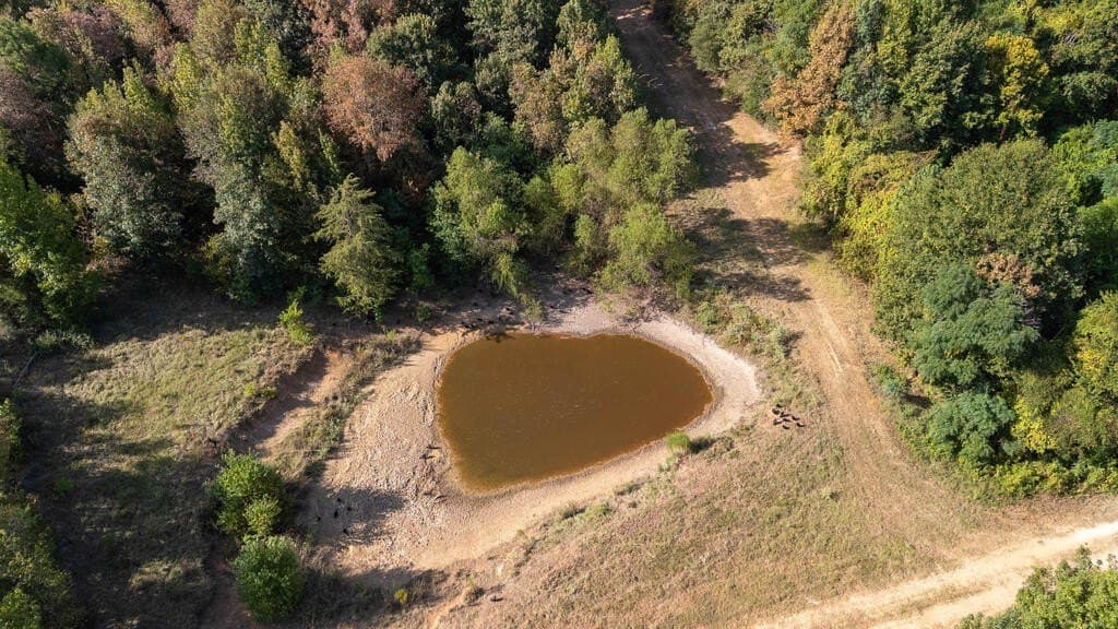 175.33 acres in Texas County - photo 13