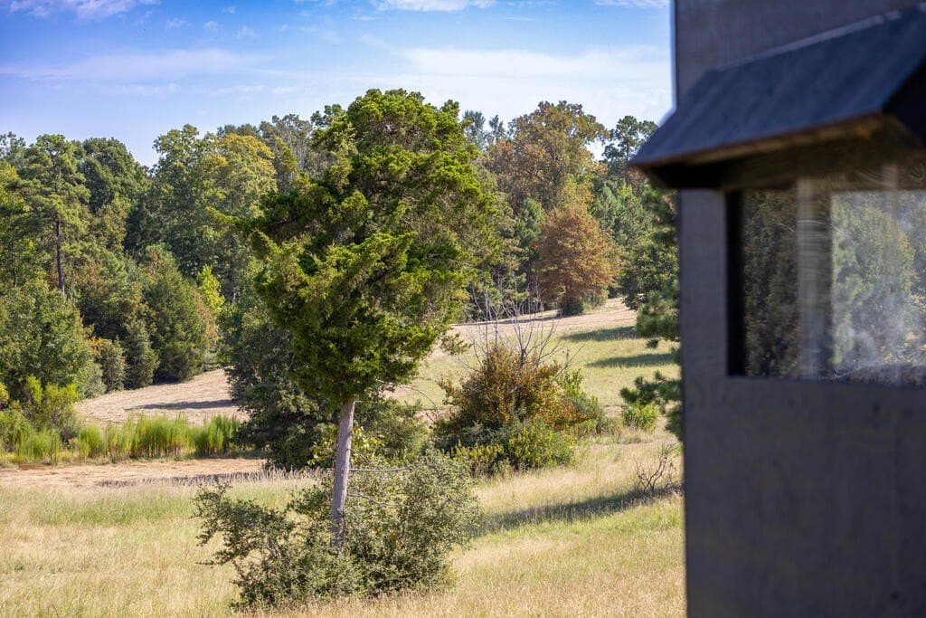 175.33 acres in Texas County - photo 49