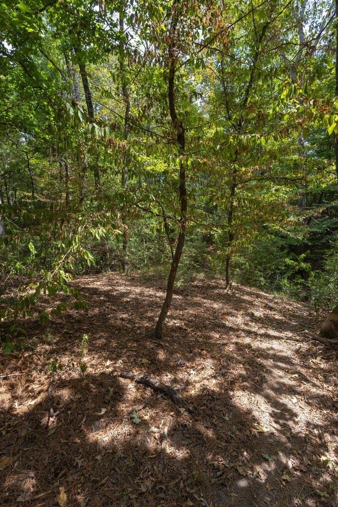 175.33 acres in Texas County - photo 127